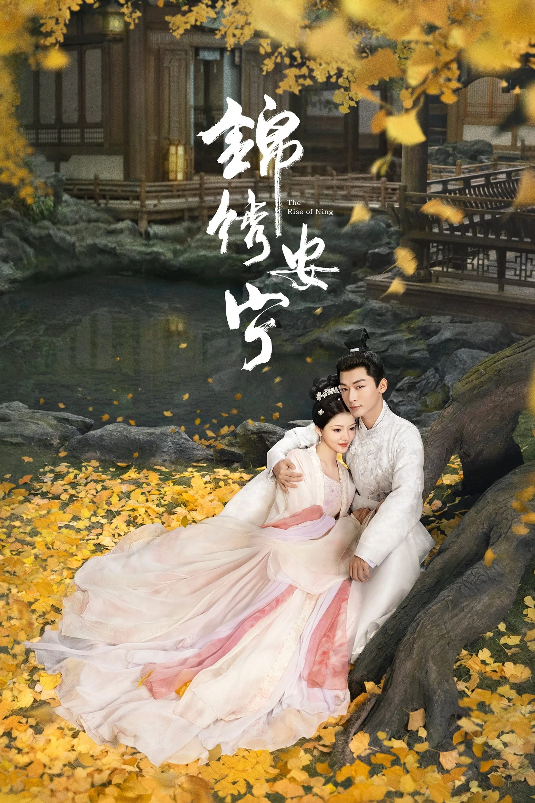 Poster phim Cẩm Tú An Ninh