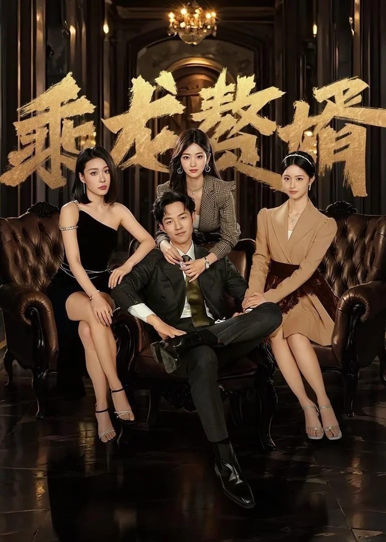 Poster phim Chàng Rể Tài Ba