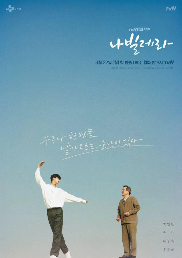 Poster phim Navillera: Như Cánh Bướm
