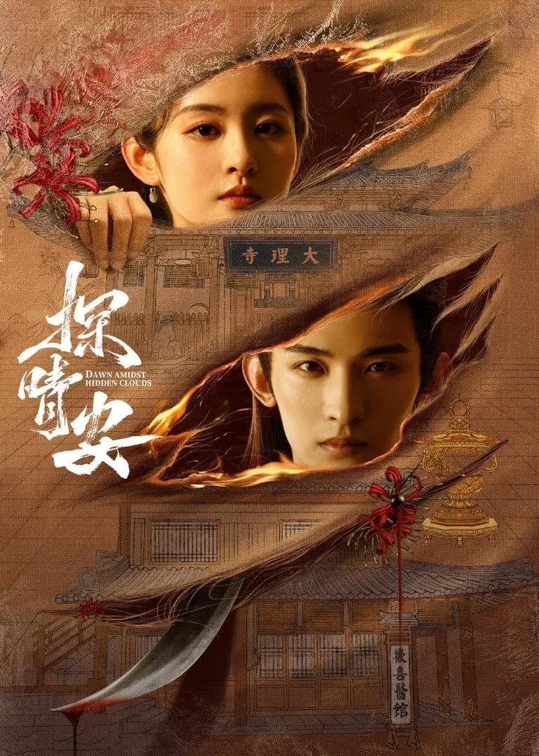 Poster phim Thám Tình An