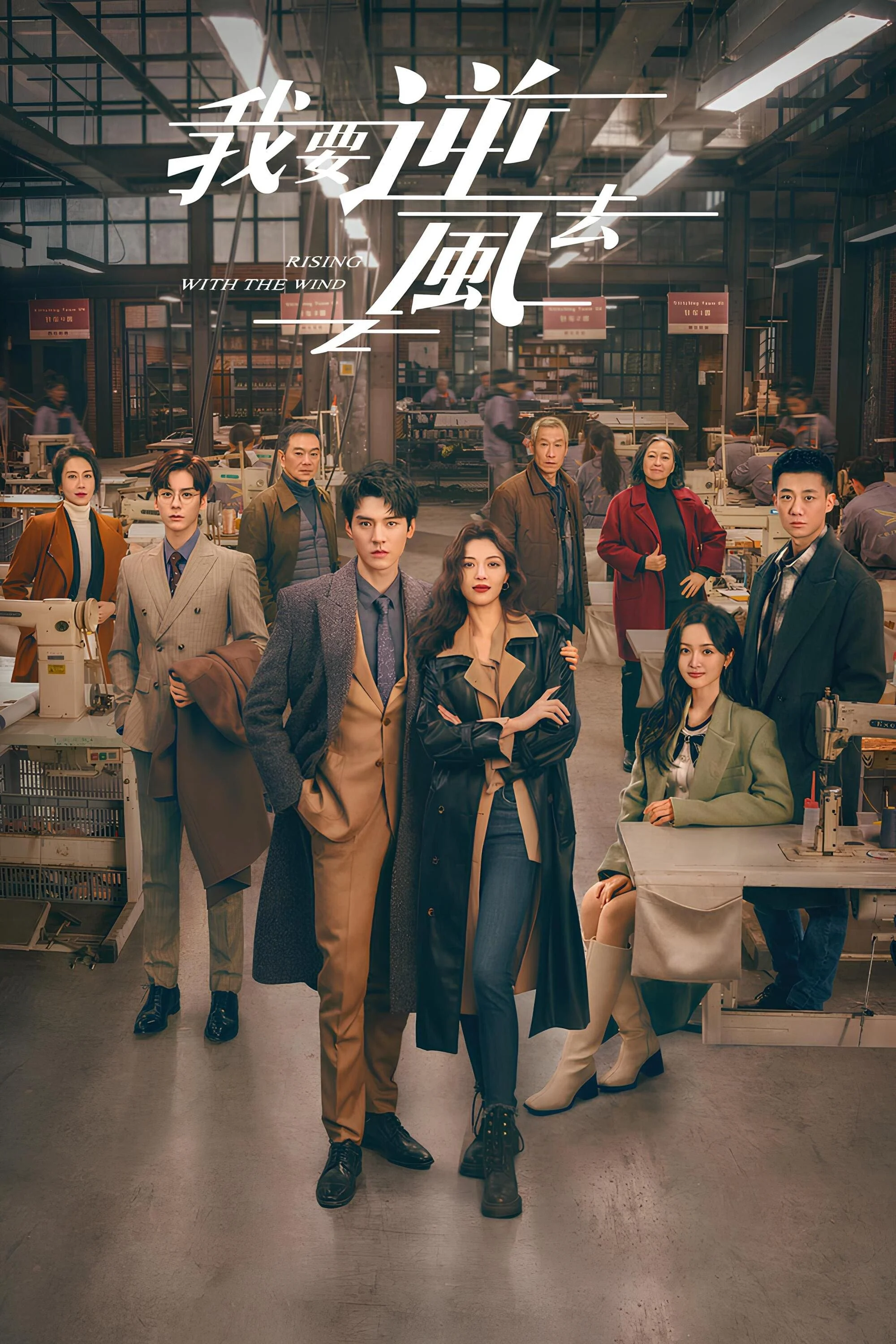 Poster phim Tôi Muốn Đi Ngược Chiều Gió