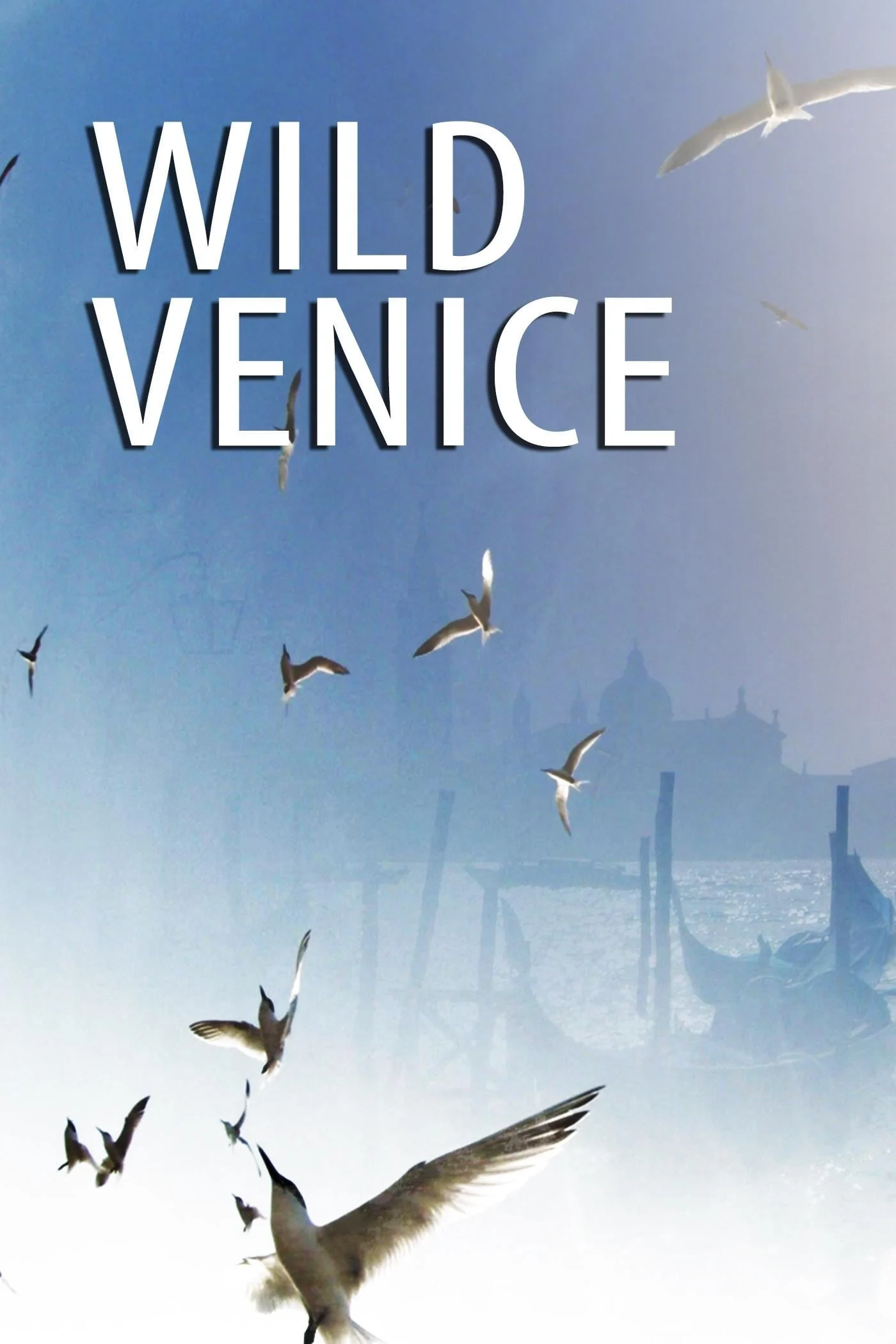 Poster phim Thiên Nhiên Hoang Dã Venice