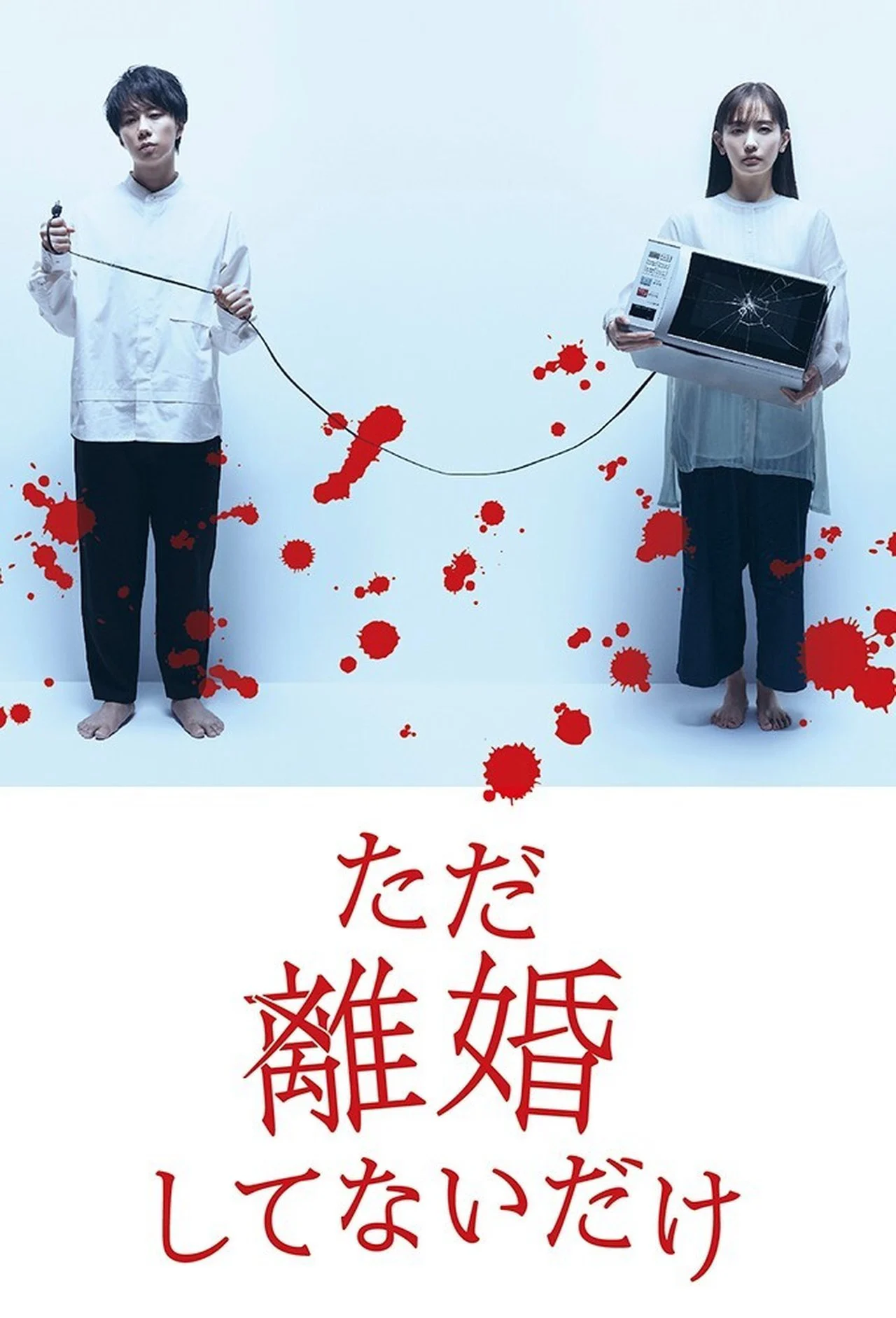 Poster phim Chỉ Là Không Ly Hôn
