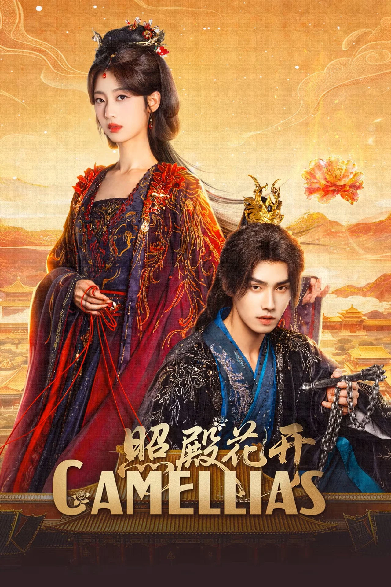 Poster phim Chiếu Điện Hoa Khai