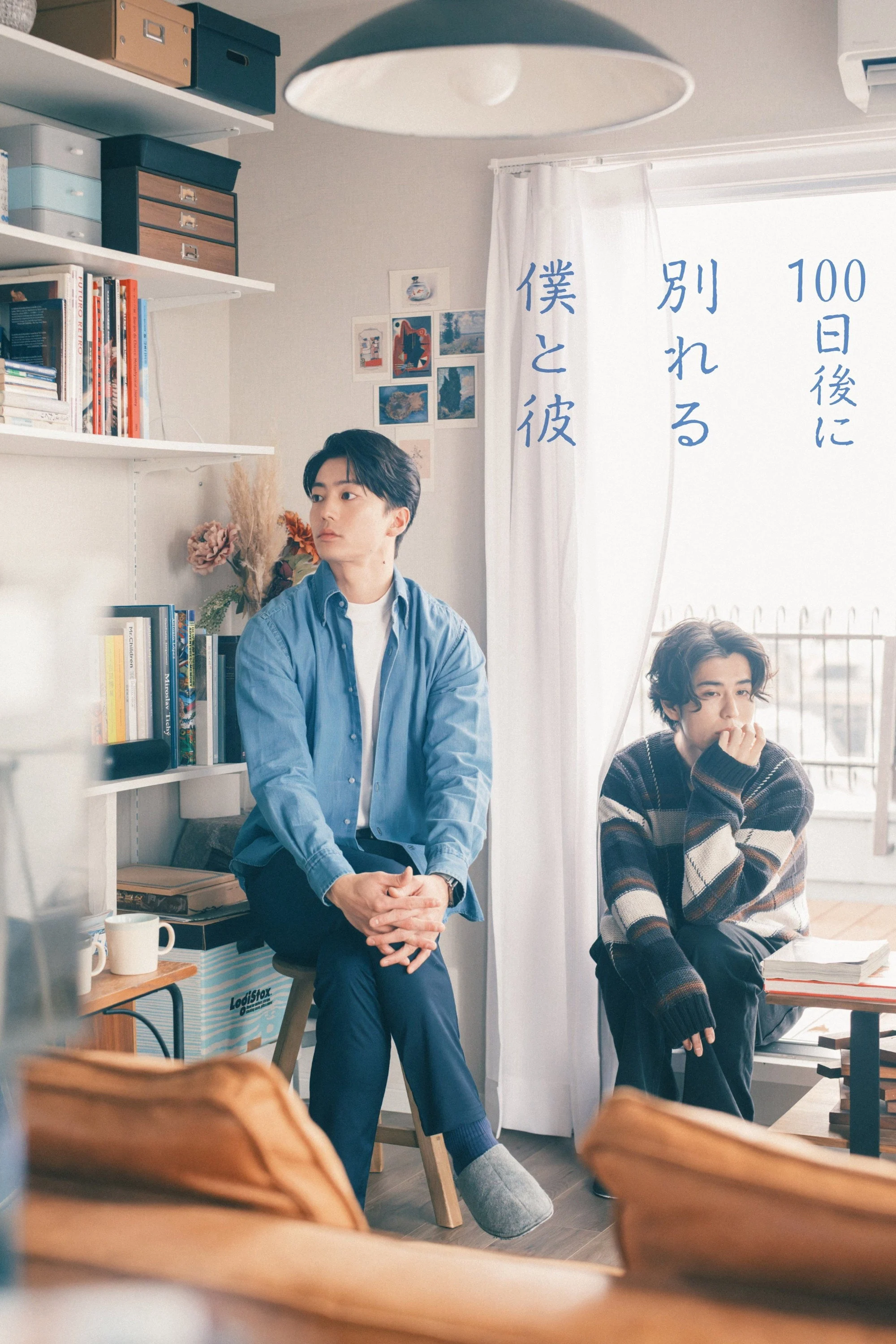 Poster phim The Boy and I Who Will Break Up in 100 Days